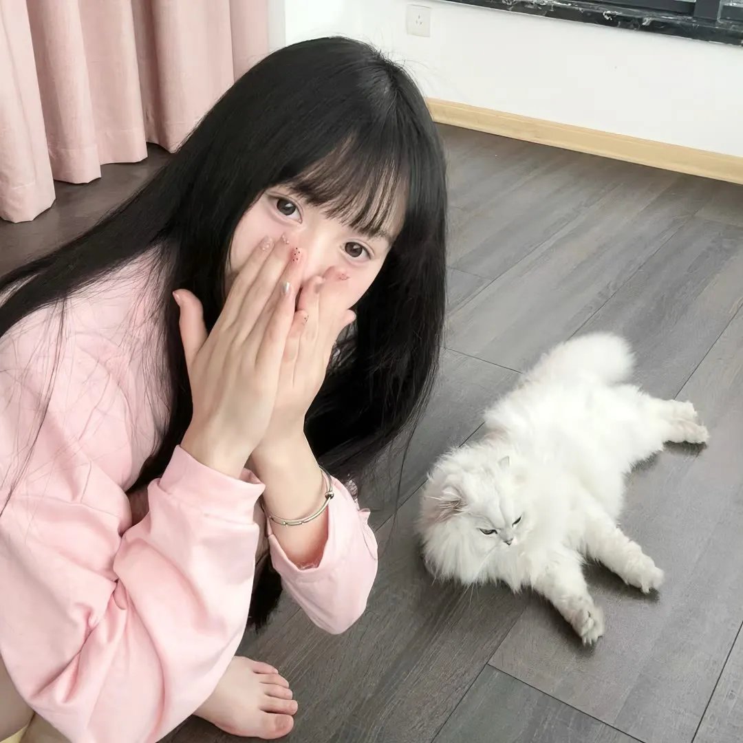 电脑娃娃